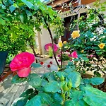 Lovely Flower Small House For Two By The Sea *