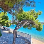 Lovely Flower Small House For Two By The Sea شقة