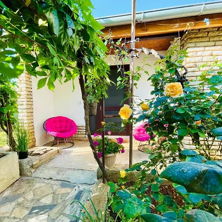Lovely Flower Small House For Two By The Sea Daire Jezera