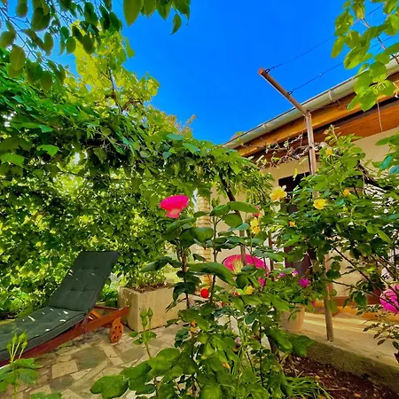 Lovely Flower Small House For Two By The Sea Appartement